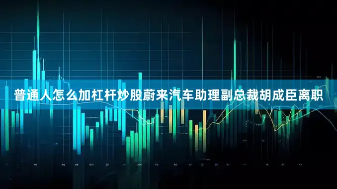 普通人怎么加杠杆炒股蔚来汽车助理副总裁胡成臣离职