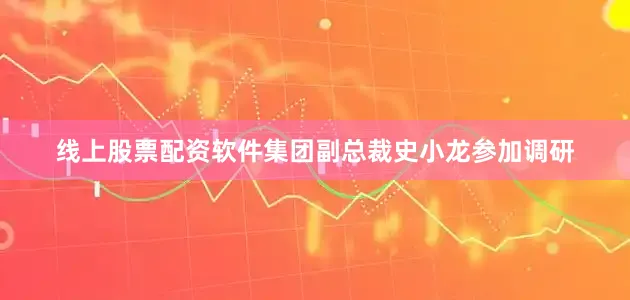 线上股票配资软件集团副总裁史小龙参加调研