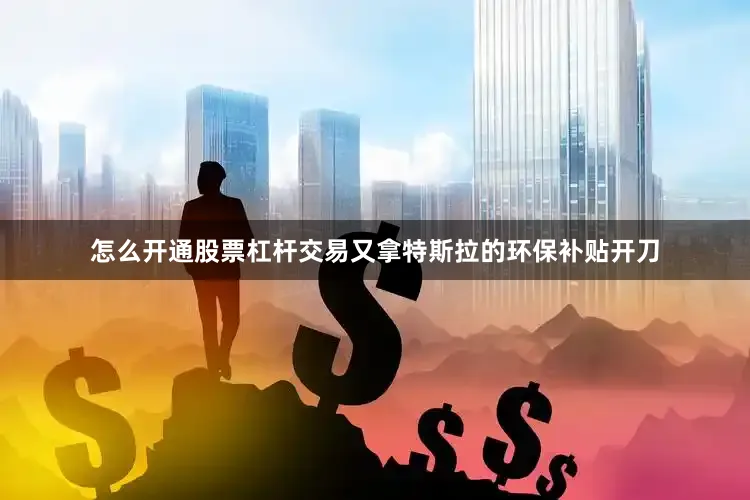 怎么开通股票杠杆交易又拿特斯拉的环保补贴开刀