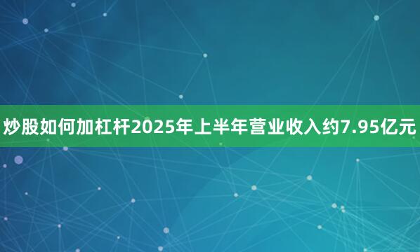 炒股如何加杠杆2025年上半年营业收入约7.95亿元