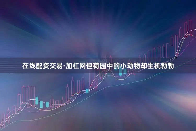 在线配资交易·加杠网但荷园中的小动物却生机勃勃
